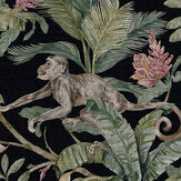 Capuchin Wallpaper - Noir - by Sidney Paul & Co. Click for more details and a description.