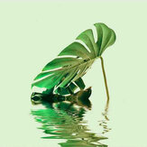 Monstera Leaf 2 Mural - Green - by ARTist. Click for more details and a description.