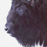 Black Buffalo Mural - Grey - by ARTist. Click for more details and a description.