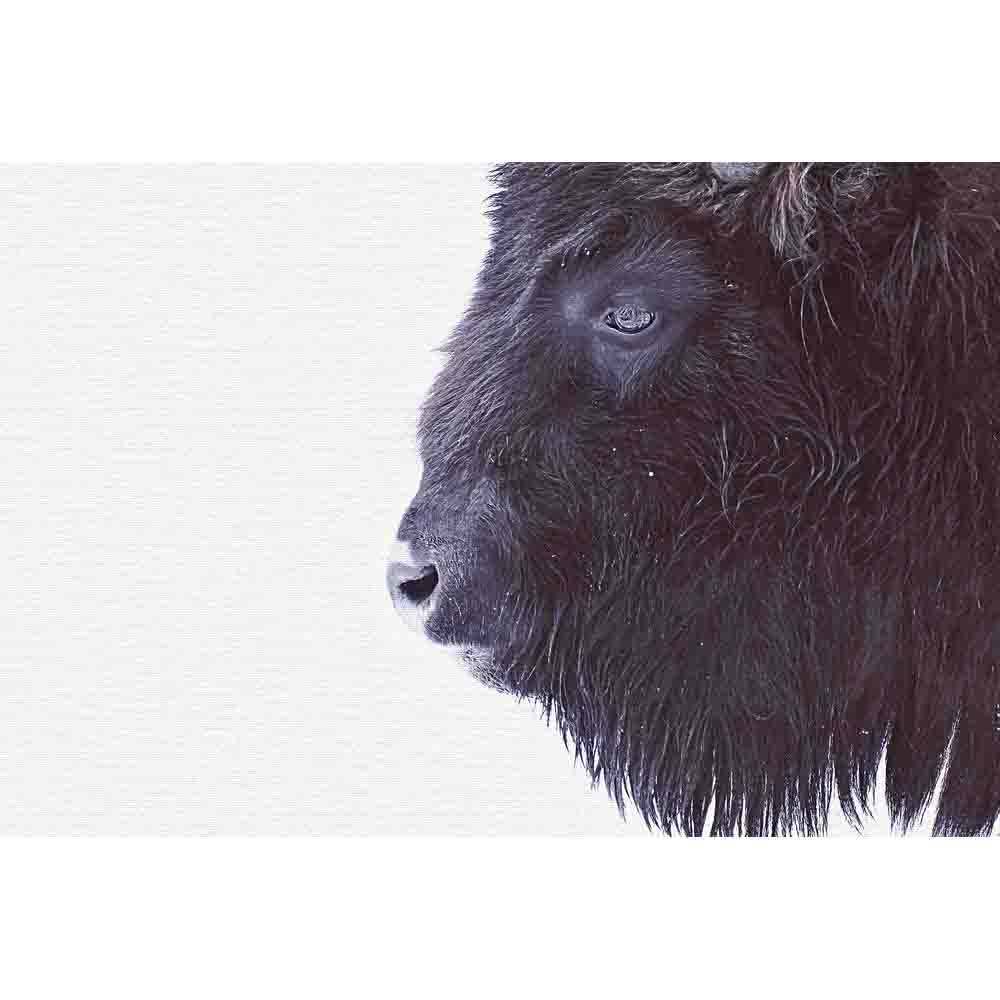 Black Buffalo Mural - Grey - by ARTist