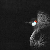 Crowned Crane Mural - Black - by ARTist. Click for more details and a description.