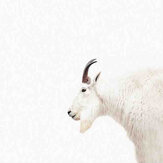 Mountain Goat Mural - White - by ARTist. Click for more details and a description.