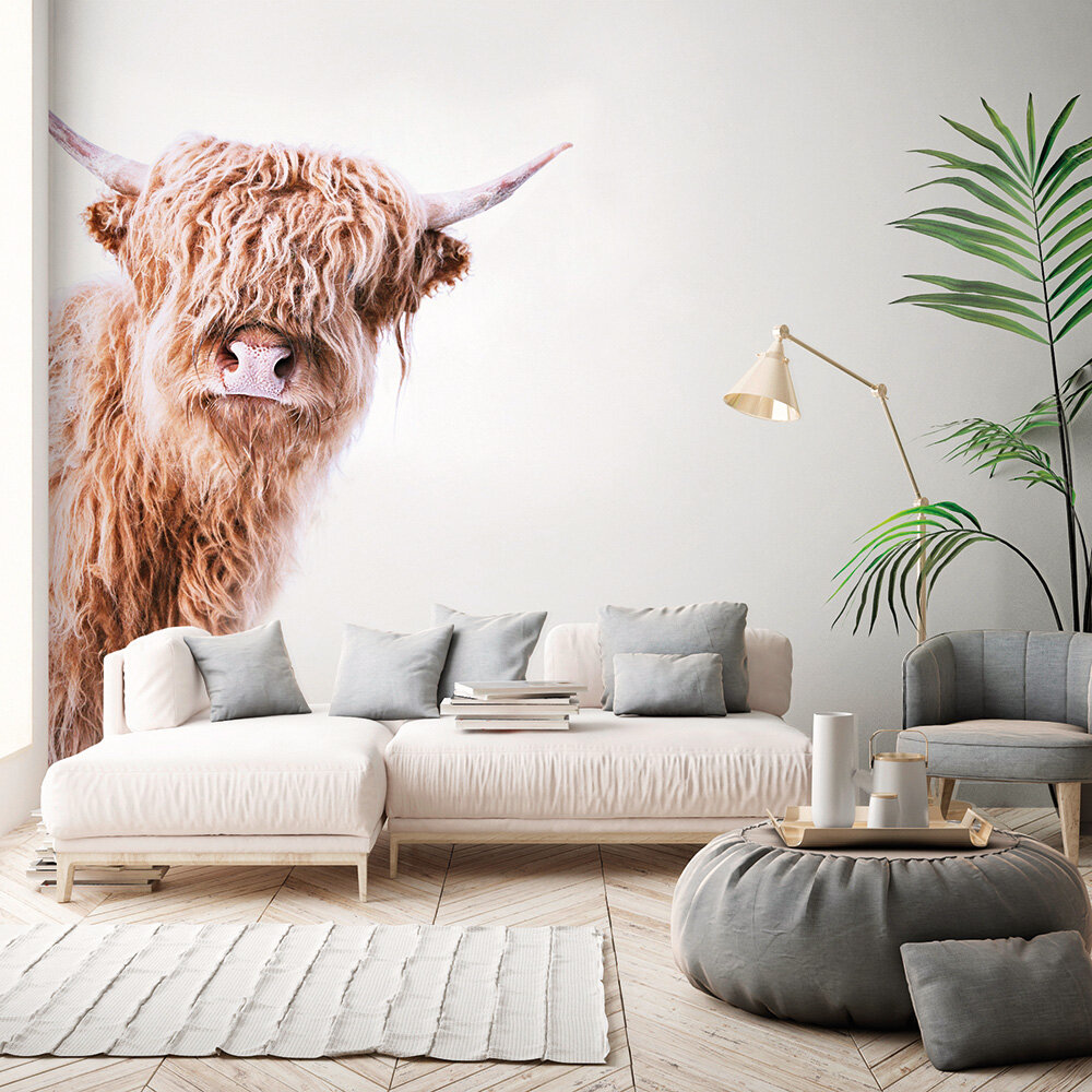 Highland Cattle 2 Mural - Brown - by ARTist