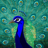Peacock Mural - Blue - by ARTist. Click for more details and a description.