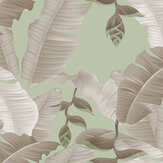 Heliconia Mural - Grey/Green - by ARTist. Click for more details and a description.