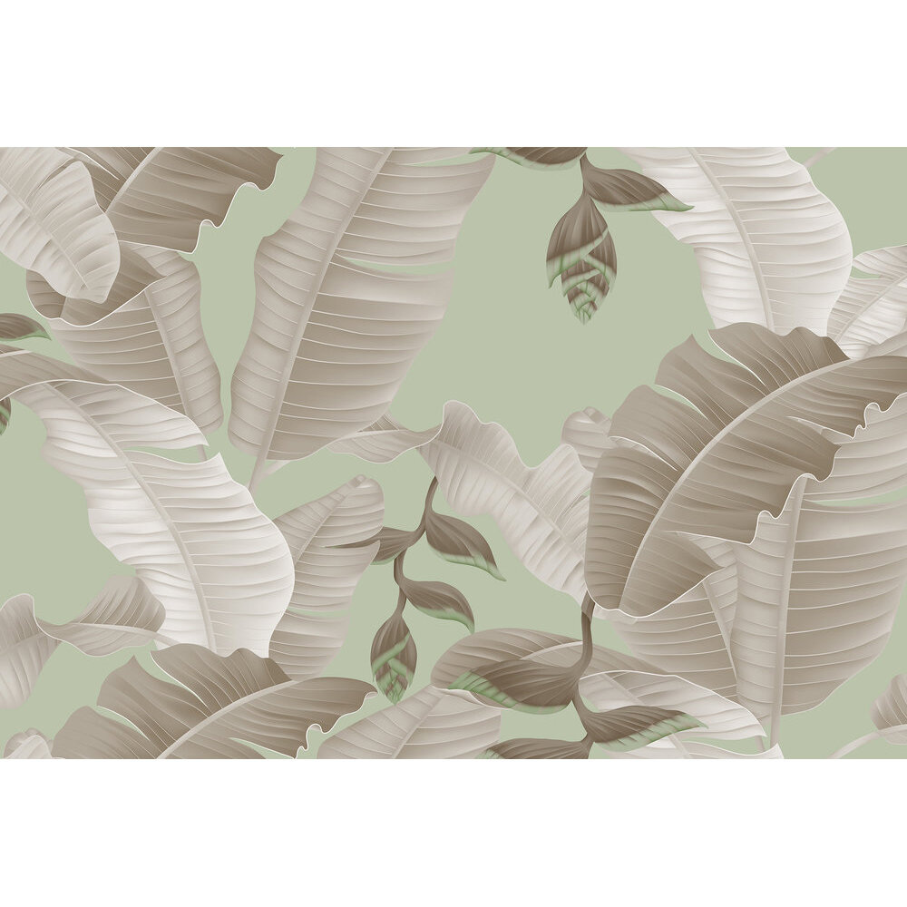 Heliconia Mural - Grey/Green - by ARTist