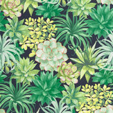 Echeveria Wallpaper - Jungle - by Casadeco. Click for more details and a description.