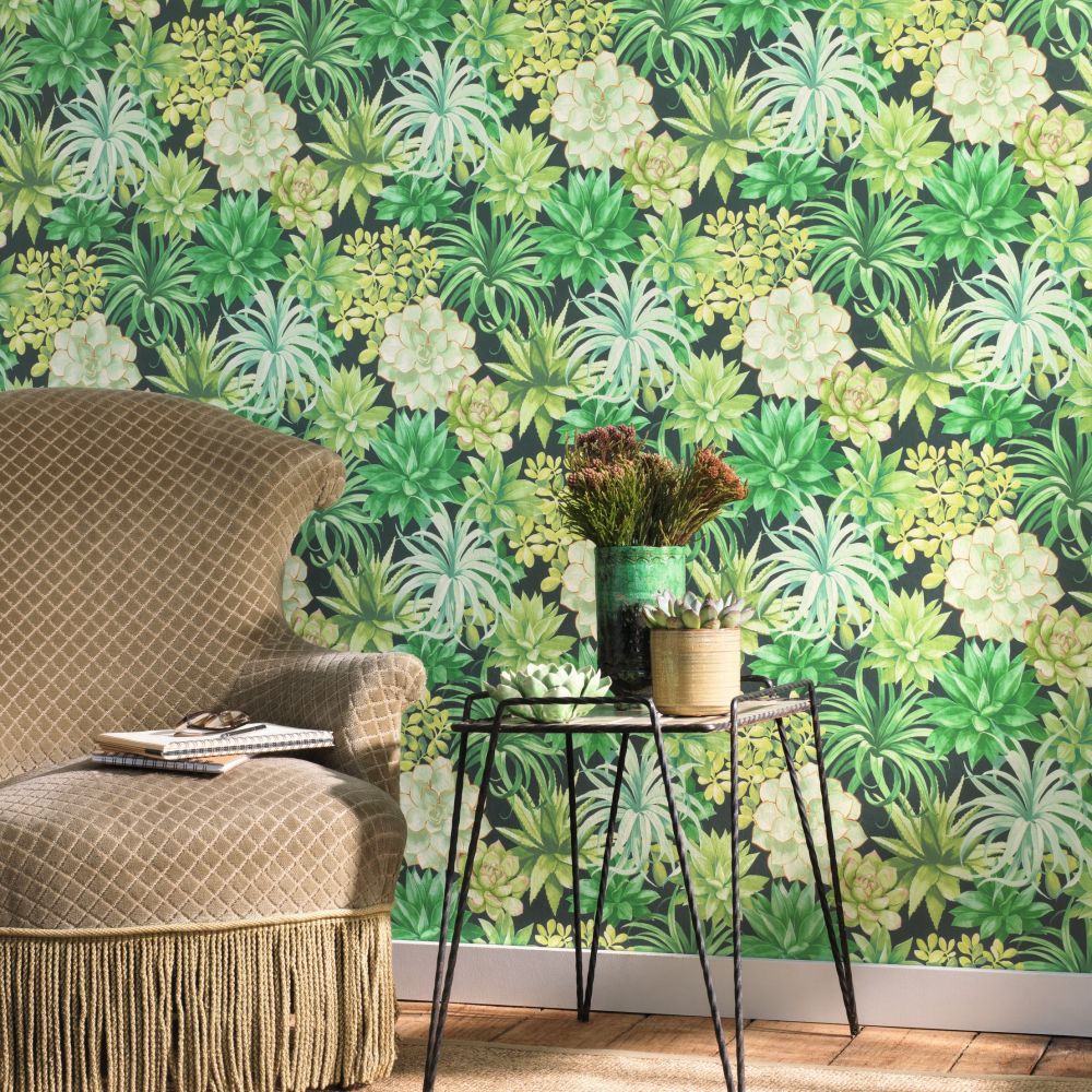 Echeveria Wallpaper - Jungle - by Casadeco
