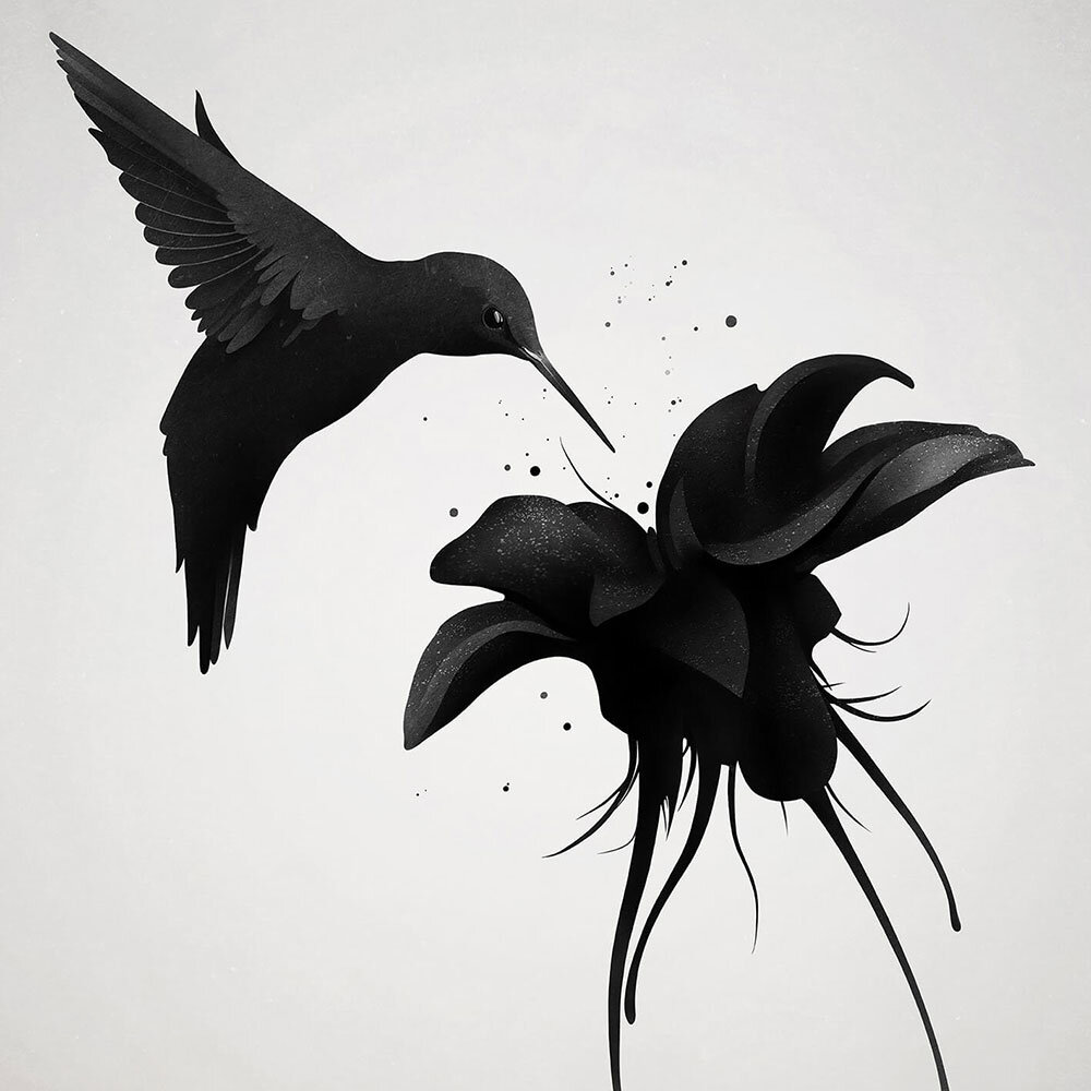 Humming Bird  Mural - Black & White - by Anaglypta