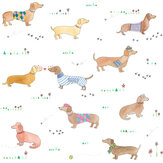 Sausage Dog Wallpaper - Multi - by Stil Haven. Click for more details and a description.