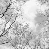 Tree Tops Set of 8 panels Mural - Black & White - by Anaglypta. Click for more details and a description.