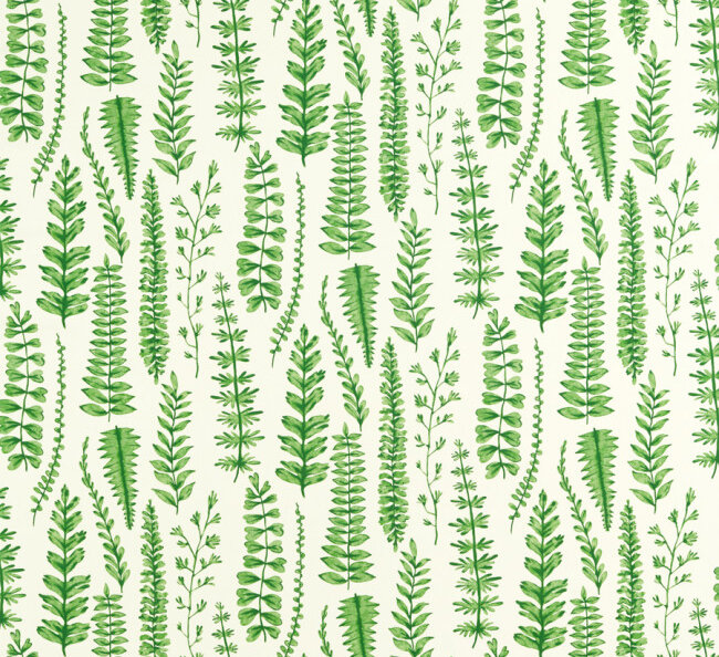 Ferns Fabric - Juniper - by Scion