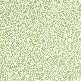 Standen Wallpaper - Leaf Green - by Morris. Click for more details and a description.