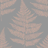 Royal Fern Wallpaper - Dove - by Graham & Brown. Click for more details and a description.