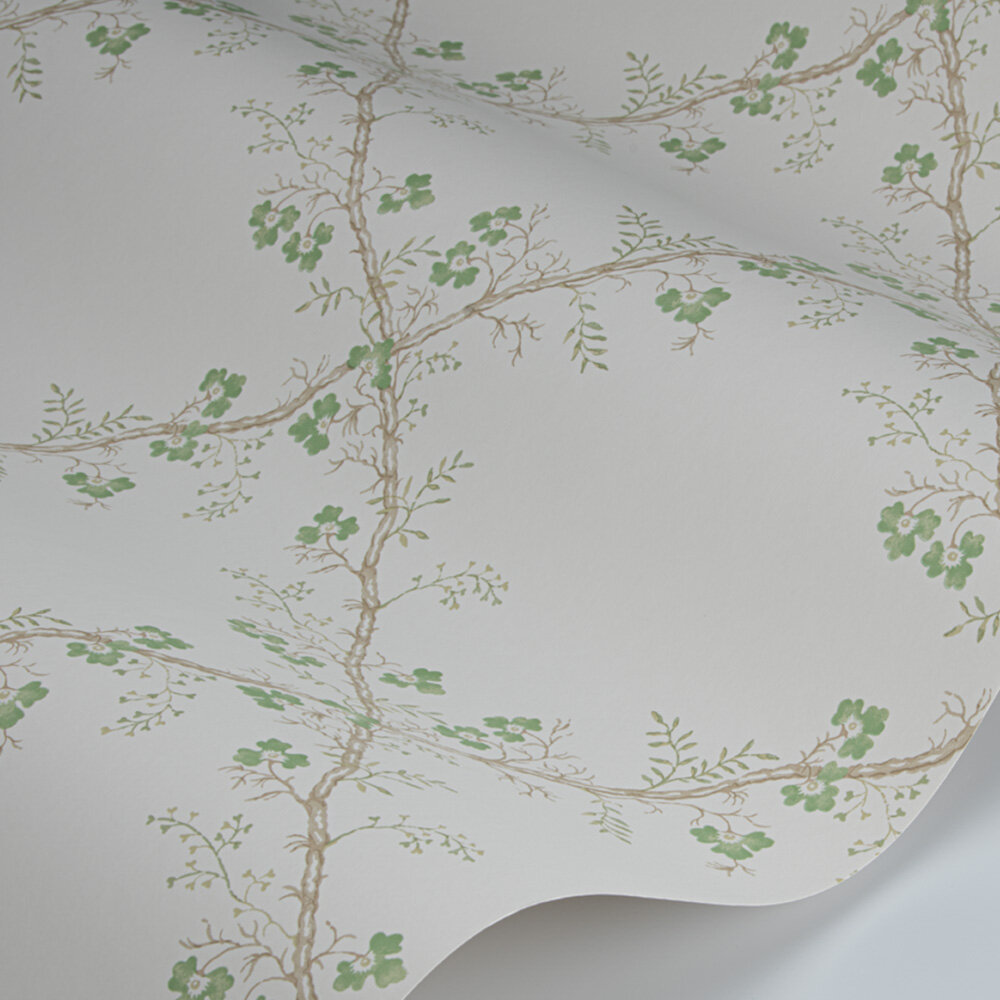 Trefoil Trellis Wallpaper - Leaf - by Colefax and Fowler