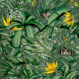 Papier peint Monkey Forest - Vert foncé et jaune - Brand McKenzie. Cliquez pour en savoir plus et lire la description.