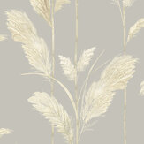 Pampas Grass Wallpaper - Neutral Grey - by Brand McKenzie. Click for more details and a description.