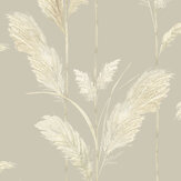 Pampas Grass Wallpaper - Oatmeal - by Brand McKenzie. Click for more details and a description.