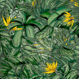 Papier peint Tropical Forest - Vert foncé et jaune - Brand McKenzie. Cliquez pour en savoir plus et lire la description.