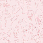 Zoology Wallpaper - Candy - by Coordonne. Click for more details and a description.