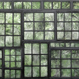 Jungle Green Murals : Wallpaper Direct