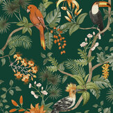 Birds of Paradise Wallpaper - Rainforest Green - by Tempaper. Click for more details and a description.