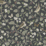 Sangfaglar Wallpaper - Charcoal - by Boråstapeter. Click for more details and a description.