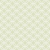 Trellis Negative Wallpaper - Green - by Galerie. Click for more details and a description.