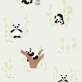 Papier peint Pandas - Vert - Albany. Cliquez pour en savoir plus et lire la description.