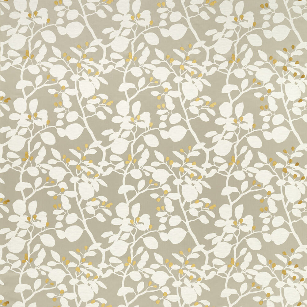 Ardisia  Fabric - Diffused Light - by Harlequin