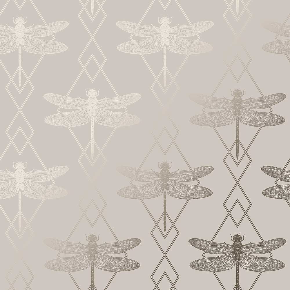 Dragonfly Wallpaper - Blush - by Albany