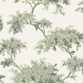 Tree Wallpaper - Sage - by Crown. Click for more details and a description.