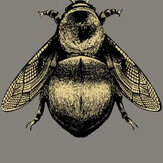 Papier peint Napoleon Bee - Gris - Timorous Beasties. Cliquez pour en savoir plus et lire la description.