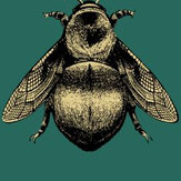 Papier peint Napoleon Bee - Vert océan - Timorous Beasties. Cliquez pour en savoir plus et lire la description.