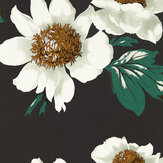Paeonia Wallpaper - Black Earth/Fig Leaf/ Gold - by Harlequin. Click for more details and a description.