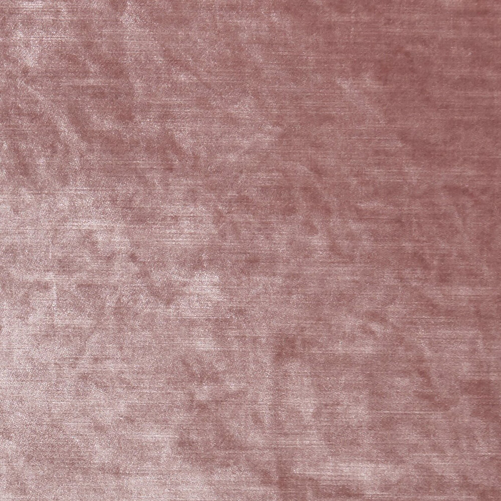 Allure Fabric - Blush - by Albany