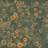Cellular Patterns Mural - Amber - by Coordonne. Click for more details and a description.