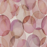 Honesty Wallpaper - Shell - by 1838 Wallcoverings. Click for more details and a description.