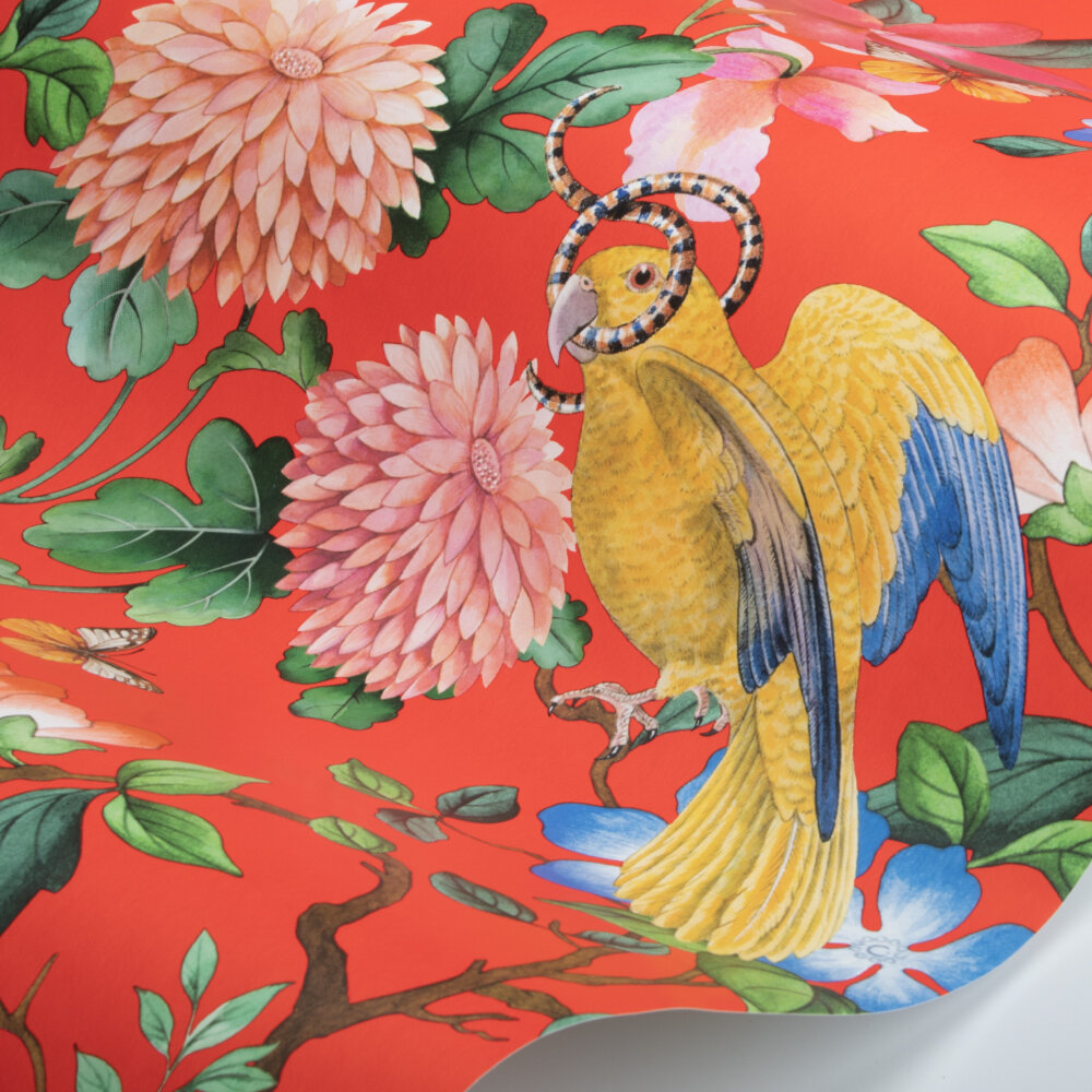 Golden Parrot Wallpaper - Coral - by Wedgwood by Clarke & Clarke