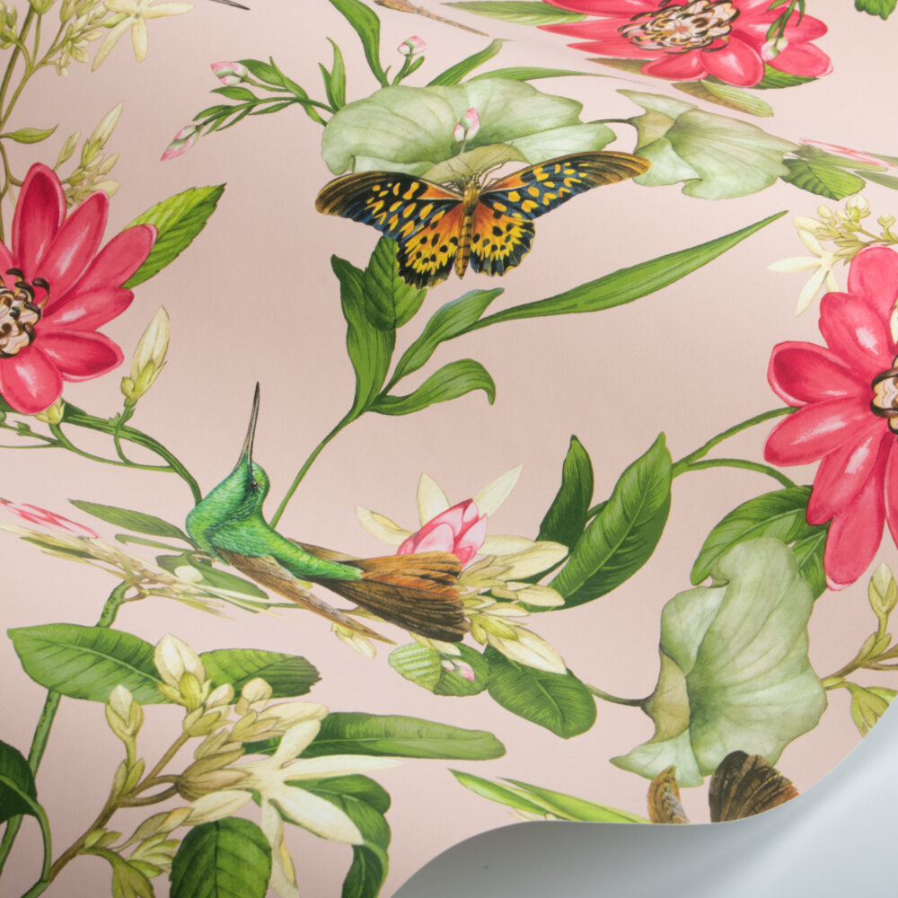 Pink Lotus Wallpaper - Blush - by Wedgwood by Clarke & Clarke