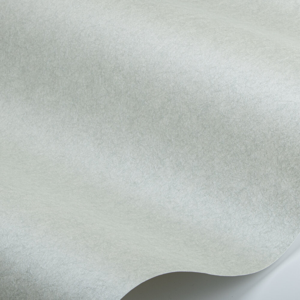 Silky Wallpaper - Light Grey - by Chivasso