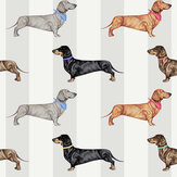 Dachshund Wallpaper - Natural - by Graduate Collection. Click for more details and a description.
