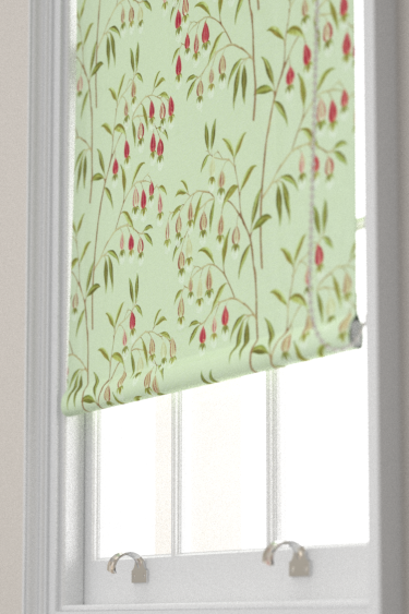 Chinese Lantern Blind - Mint / Apricot - by Sanderson. Click for more details and a description.