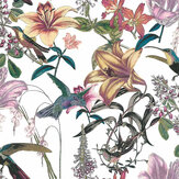 Hummingbird Wallpaper - Multi/White - by Albany. Click for more details and a description.