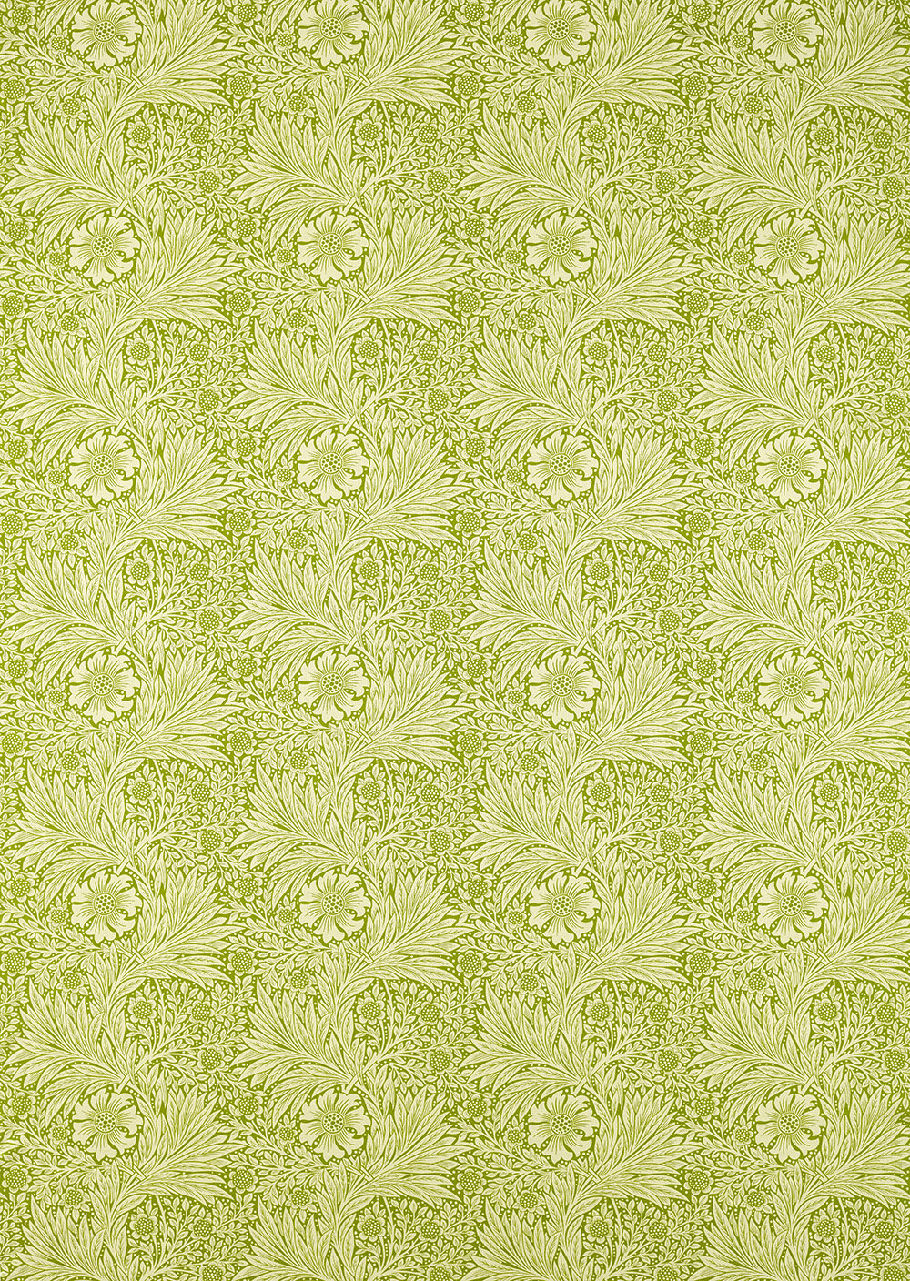 Marigold  Fabric - Cream/ Sap Green - by Morris