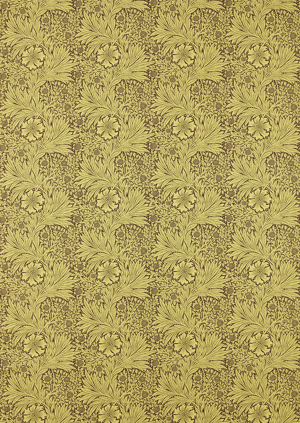 Marigold  Fabric - Summer Yellow/ Chocolate - by Morris