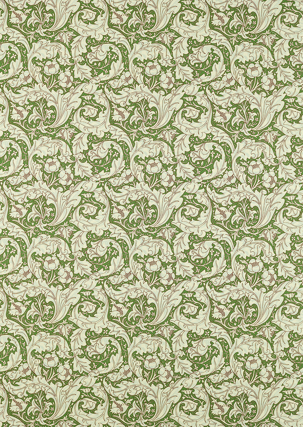 Bachelors Button  Fabric - Leaf Green/ Sky - by Morris