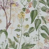 Edulis Wallpaper - Sage - by Graham & Brown. Click for more details and a description.