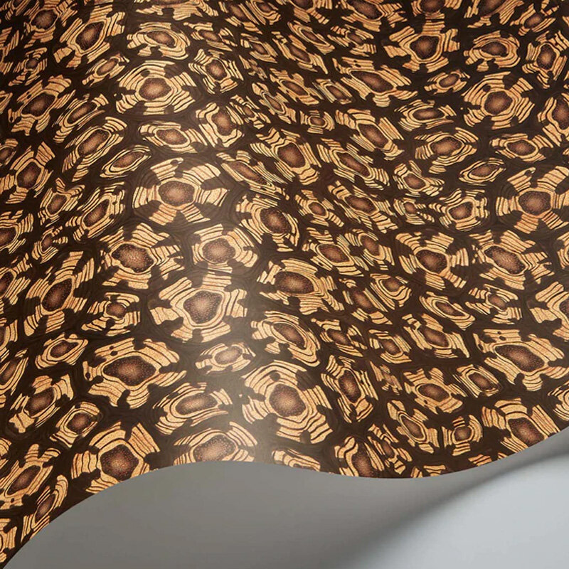 Savanna Shell  Wallpaper - Ochre, Soot & Orange - by Cole & Son