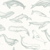 Whale Done Wallpaper - Vert D'eau - by Caselio. Click for more details and a description.